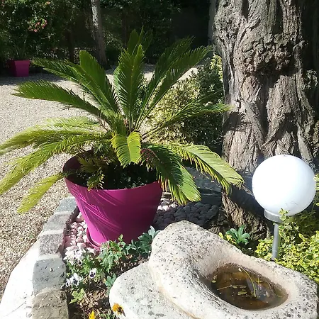 Szálloda Les Acacias Treuzy-Levelay