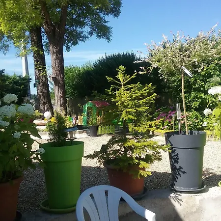 Les Acacias