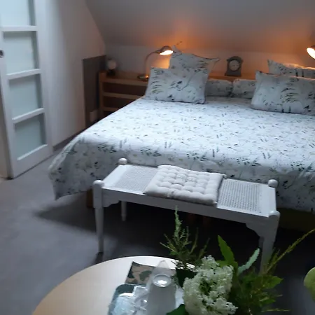 Les Acacias فندق Treuzy-Levelay