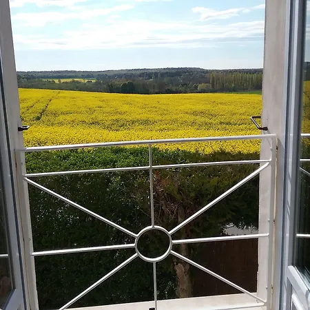 Les Acacias