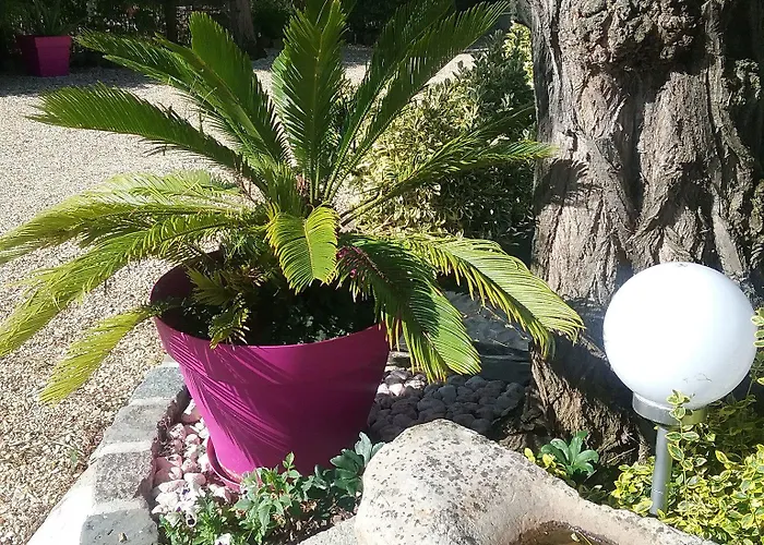 Hotell Les Acacias Treuzy-Levelay